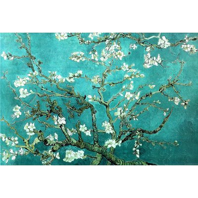 Almond Blossom Poster Print by Vincent van Gogh, 36x24