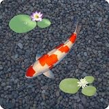 aniPet Koi Live Wallpaper
