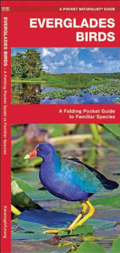 Everglades Birds: A Folding Pocket Guide to Familiar Species (Pocket Naturalist Guide Series)