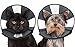 ZenPet Pet Recovery Cone E-Collar for Dogs and Cats - Always Use with Your Pet's Everyday Collar - Comfortable Soft Collar is Adjustable for a Secure and Custom Fit (Small)
