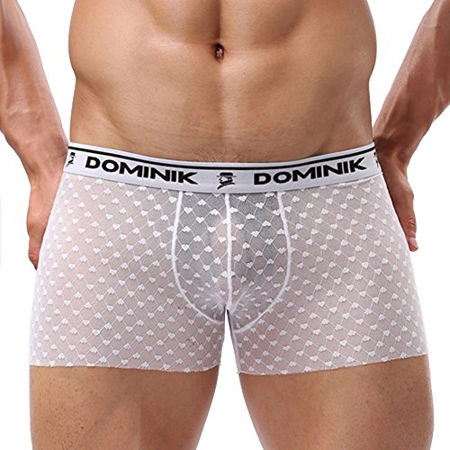 Dominik Men's Sheer Mesh See-Through Boxer Trunks