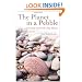 The Planet in a Pebble: A journey into Earth's deep history
