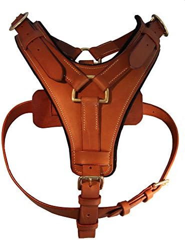 BeltoProTM , Large Dog Harness