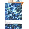 The Search for Superstrings, Symmetry, and the Theory of Everything by John Gribbin