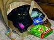 Busted! 1000pc Jigsaw Puzzle by Persis Clayton Weirs
