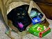 Busted! 1000pc Jigsaw Puzzle by Persis Clayton Weirs