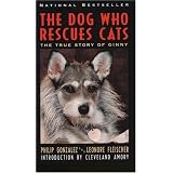 The Dog Who Rescues Cats True Story of Ginny  The