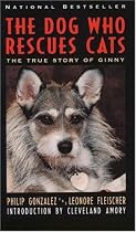 The Dog Who Rescues Cats: True Story of Ginny, The