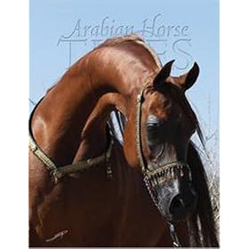 Arabian Horse Times