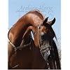 Arabian Horse Times