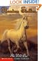 The wild one (Phantom stallion)