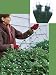 4' x 6' Polar White Wide Angle LED Net Christmas Lights - 120 Lights Green Wire