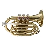 Stagg 77-MT Pocket Trumpet