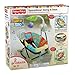 Fisher-Price Space Saver Swing and Seat, Luv U Zoo