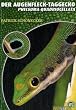 Der Augenfleck-Taggecko: Phelsuma Quadriocellata. Art f�r Art