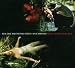 Nick Cave Kylie Minogue-Where the Wild Roses Grow