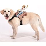 Dog Riders Cowboy Pet Costume
