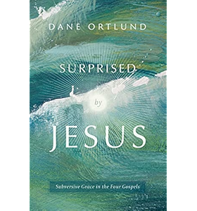 Surprised by Jesus: Subversive grace in the four Gospels