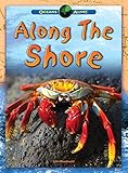Along the shore