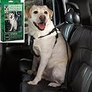 Cruising Companion Nylon Dog Car Harness, Small-Medium, Black