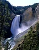 Yellowstone - America's Great Wildlife Park