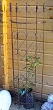 Eigenschaften Haus und Gärtchen  / Rankhilfe halbrund aus Metall 130 cm