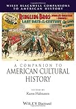 A companion to American cultural history
