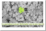 I'm a Great Believer in Luck and I Find the Harder I Work, the More I Have of It. Thomas Jefferson - Classroom Motivational Poster