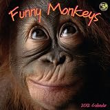 2012 Funny Monkeys Wall Calendar