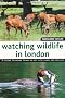 Watching Wildlife in London