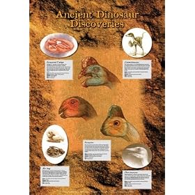 Ancient Dinosaur Discoveries Poster (#144)