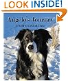 Angelo's Journey: A Border Collie's Quest for Home
