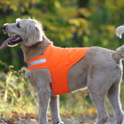 Orvis Dog Safety Jacket 34 Teresa W. Reynakier