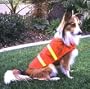 Doggie Duds Safety Vest Reflective Orange Med