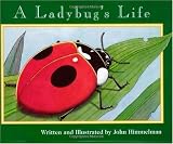 A Ladybugs Life (Nature Upclose)