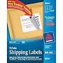 Avery 3-1/3 x 4 Inch White Mailing Labels 150 Count (8164)