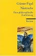 Nietzsche. Eine philosophische Einf�hrung.