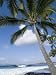Beach at Kailua-Kona, Island of Hawaii (Big Island), Hawaii, USA Photographic Poster ...