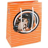 Tennessee Volunteers Small Team Logo Gift Bag