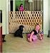 Pet Supplies : Keepsafe 60 inch Expansion Gate
