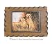 Labrador Dogs - Soap Dish
