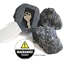 Dirty Rock Hide-a-Key & Repositionable Warning Decal Set