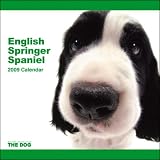 English Springer Spaniel 2009 Calendar
