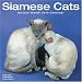 siamese38  - CATS SIAMESE 2010 Wall Calendar 3041410
