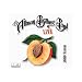 Allman Brothers Band Live Concert CD - Robinsonville, MS 9-27-08