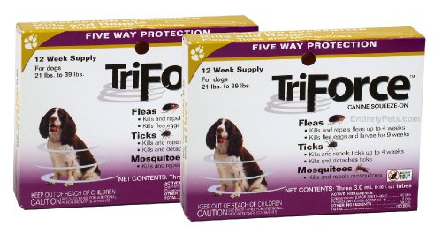 2 PACK - 3 MONTH TriForce Gold for DOGS 21-39 lbs