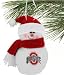 Ohio State Buckeyes 6