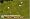 Tiger Woods PGA Tour 09 All-Play
