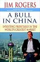 A Bull in China: Investing Profitably in the World's Greatest Market