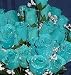 84 Silk Rose Flowers w/Raindrops - Wedding Flowers - Bridal/Floral - Turquoise